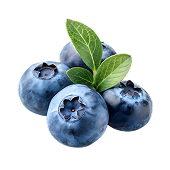 ブルーベリー